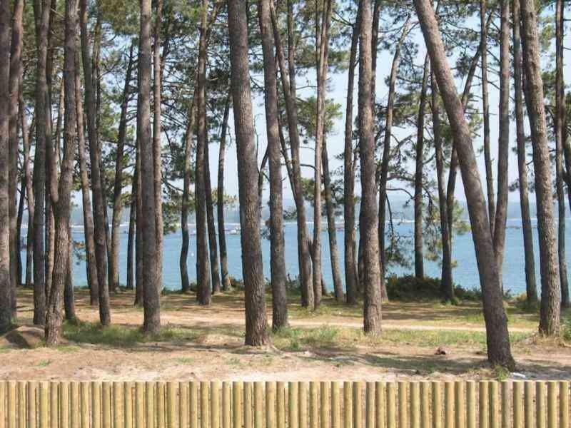 Apartamento Playa Isla De Arosa Zewnętrze zdjęcie
